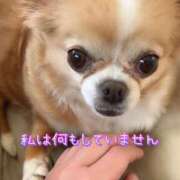 ヒメ日記 2025/04/06 07:39 投稿 一条彩香 プレジデントクラブ