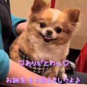 ヒメ日記 2025/04/09 02:40 投稿 一条彩香 プレジデントクラブ