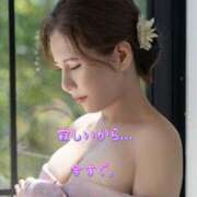 ヒメ日記 2025/04/09 13:05 投稿 一条彩香 プレジデントクラブ