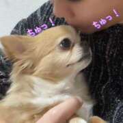 ヒメ日記 2025/04/11 03:21 投稿 一条彩香 プレジデントクラブ