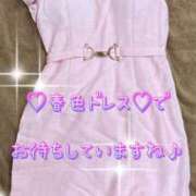 ヒメ日記 2025/04/16 14:20 投稿 一条彩香 プレジデントクラブ