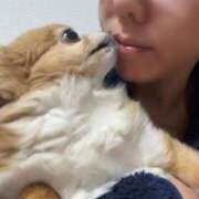 ヒメ日記 2025/04/17 02:17 投稿 一条彩香 プレジデントクラブ