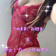 ヒメ日記 2025/04/17 07:31 投稿 一条彩香 プレジデントクラブ