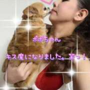 ヒメ日記 2025/04/25 08:57 投稿 一条彩香 プレジデントクラブ