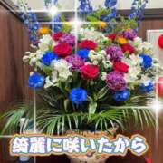 ヒメ日記 2025/04/27 19:54 投稿 一条彩香 プレジデントクラブ