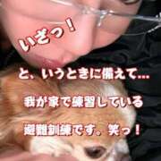 ヒメ日記 2025/04/30 01:29 投稿 一条彩香 プレジデントクラブ