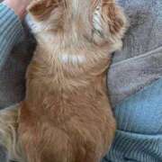 ヒメ日記 2025/05/04 06:17 投稿 一条彩香 プレジデントクラブ