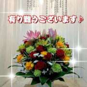 ヒメ日記 2025/05/04 06:33 投稿 一条彩香 プレジデントクラブ