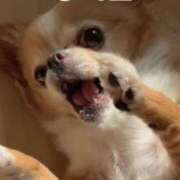 ヒメ日記 2025/05/10 06:15 投稿 一条彩香 プレジデントクラブ