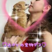 ヒメ日記 2025/05/13 10:53 投稿 一条彩香 プレジデントクラブ