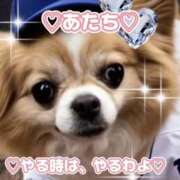 ヒメ日記 2025/05/14 23:46 投稿 一条彩香 プレジデントクラブ