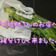 ヒメ日記 2025/05/15 00:49 投稿 一条彩香 プレジデントクラブ