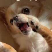 ヒメ日記 2025/05/16 05:48 投稿 一条彩香 プレジデントクラブ