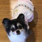 ヒメ日記 2025/05/17 12:32 投稿 一条彩香 プレジデントクラブ