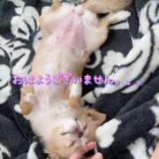 ヒメ日記 2025/05/19 07:21 投稿 一条彩香 プレジデントクラブ