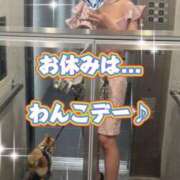 ヒメ日記 2025/05/21 13:33 投稿 一条彩香 プレジデントクラブ