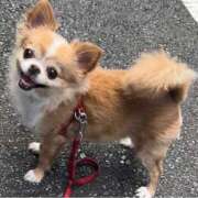 ヒメ日記 2025/05/22 07:22 投稿 一条彩香 プレジデントクラブ