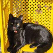 ヒメ日記 2025/05/30 19:28 投稿 一条彩香 プレジデントクラブ