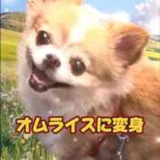 ヒメ日記 2025/06/05 00:40 投稿 一条彩香 プレジデントクラブ