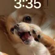 ヒメ日記 2025/06/05 06:20 投稿 一条彩香 プレジデントクラブ