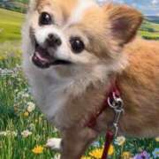 ヒメ日記 2025/06/06 02:22 投稿 一条彩香 プレジデントクラブ