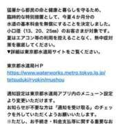 ヒメ日記 2025/06/08 00:41 投稿 一条彩香 プレジデントクラブ