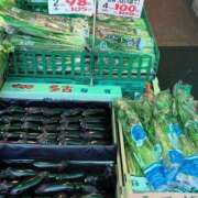 ヒメ日記 2025/06/08 06:19 投稿 一条彩香 プレジデントクラブ