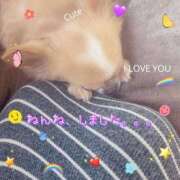 ヒメ日記 2025/06/09 08:14 投稿 一条彩香 プレジデントクラブ