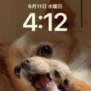 ヒメ日記 2025/06/11 04:44 投稿 一条彩香 プレジデントクラブ