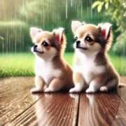 ヒメ日記 2025/06/11 05:01 投稿 一条彩香 プレジデントクラブ