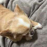 ヒメ日記 2025/06/12 23:09 投稿 一条彩香 プレジデントクラブ