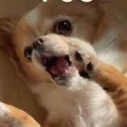 ヒメ日記 2025/06/13 04:16 投稿 一条彩香 プレジデントクラブ