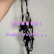 ヒメ日記 2025/06/25 09:02 投稿 一条彩香 プレジデントクラブ