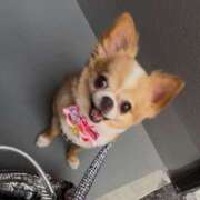 ヒメ日記 2025/07/02 06:46 投稿 一条彩香 プレジデントクラブ