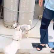 ヒメ日記 2025/07/02 07:19 投稿 一条彩香 プレジデントクラブ