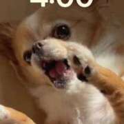 ヒメ日記 2025/07/03 04:16 投稿 一条彩香 プレジデントクラブ