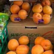 ヒメ日記 2025/07/06 05:00 投稿 一条彩香 プレジデントクラブ