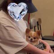 ヒメ日記 2025/07/06 05:16 投稿 一条彩香 プレジデントクラブ