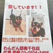 ヒメ日記 2025/07/06 05:25 投稿 一条彩香 プレジデントクラブ