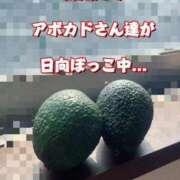 ヒメ日記 2025/07/06 08:09 投稿 一条彩香 プレジデントクラブ