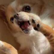 ヒメ日記 2025/07/08 04:54 投稿 一条彩香 プレジデントクラブ