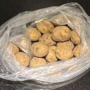 ヒメ日記 2025/07/16 07:32 投稿 一条彩香 プレジデントクラブ