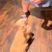 ヒメ日記 2025/07/28 06:02 投稿 一条彩香 プレジデントクラブ