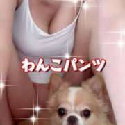 ヒメ日記 2025/07/28 18:46 投稿 一条彩香 プレジデントクラブ