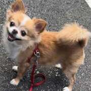 ヒメ日記 2025/07/28 19:22 投稿 一条彩香 プレジデントクラブ