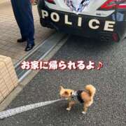 ヒメ日記 2025/08/04 02:06 投稿 一条彩香 プレジデントクラブ