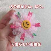 ヒメ日記 2025/08/06 06:14 投稿 一条彩香 プレジデントクラブ