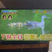 ヒメ日記 2025/08/06 06:45 投稿 一条彩香 プレジデントクラブ