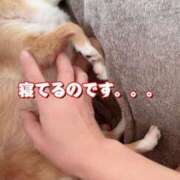 ヒメ日記 2025/08/13 08:27 投稿 一条彩香 プレジデントクラブ