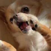 ヒメ日記 2025/08/21 02:12 投稿 一条彩香 プレジデントクラブ